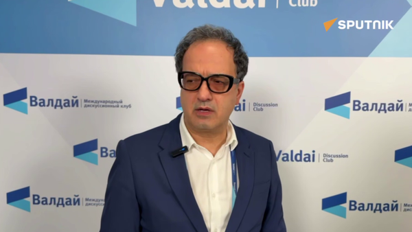 İran’daki Orta Doğu Stratejik Çalışmalar Enstitüsü Direktörü ve İslam Azad Üniversitesi Siyaset Bilimi ve Uluslararası İlişkiler Fakültesi Başkanı Kayhan Barzegar - Sputnik Türkiye