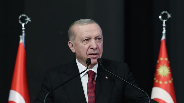 Cumhurbaşkanı ve AK Parti Genel Başkanı Recep Tayyip Erdoğan - Sputnik Türkiye
