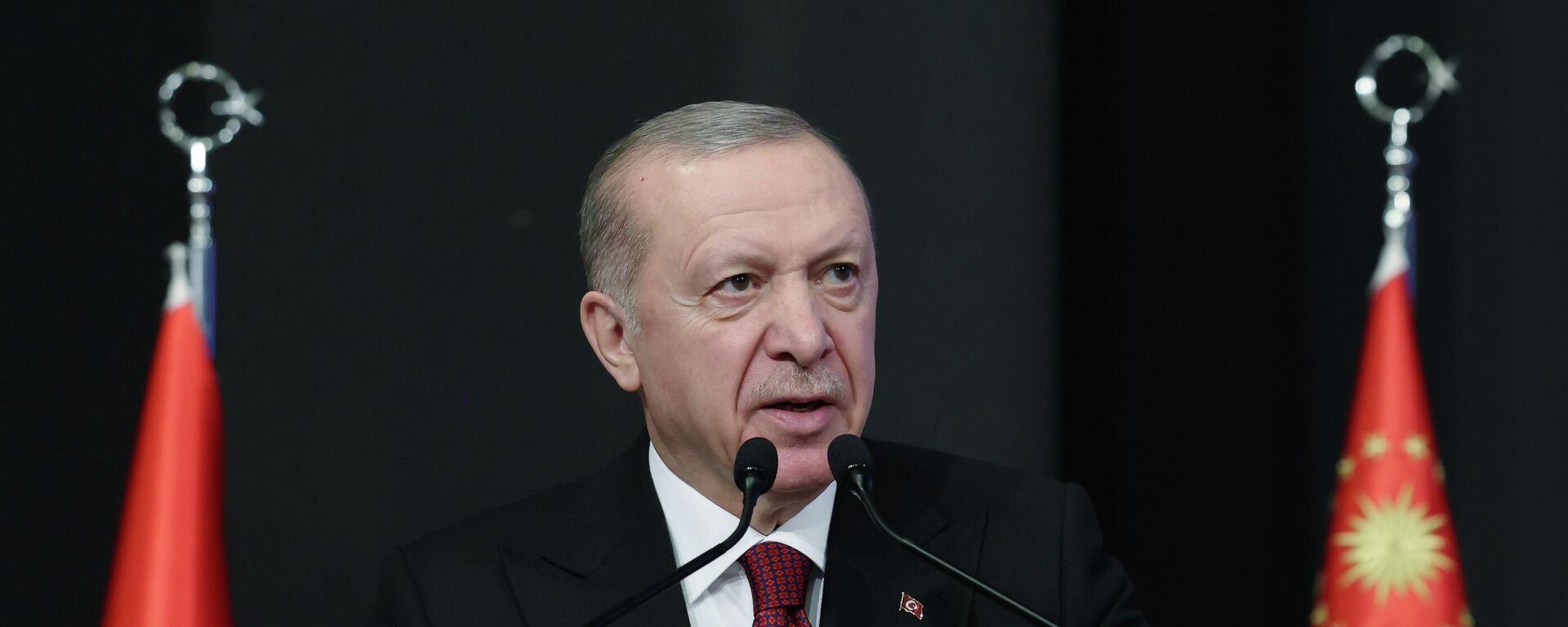 Cumhurbaşkanı ve AK Parti Genel Başkanı Recep Tayyip Erdoğan - Sputnik Türkiye, 1920, 12.02.2026