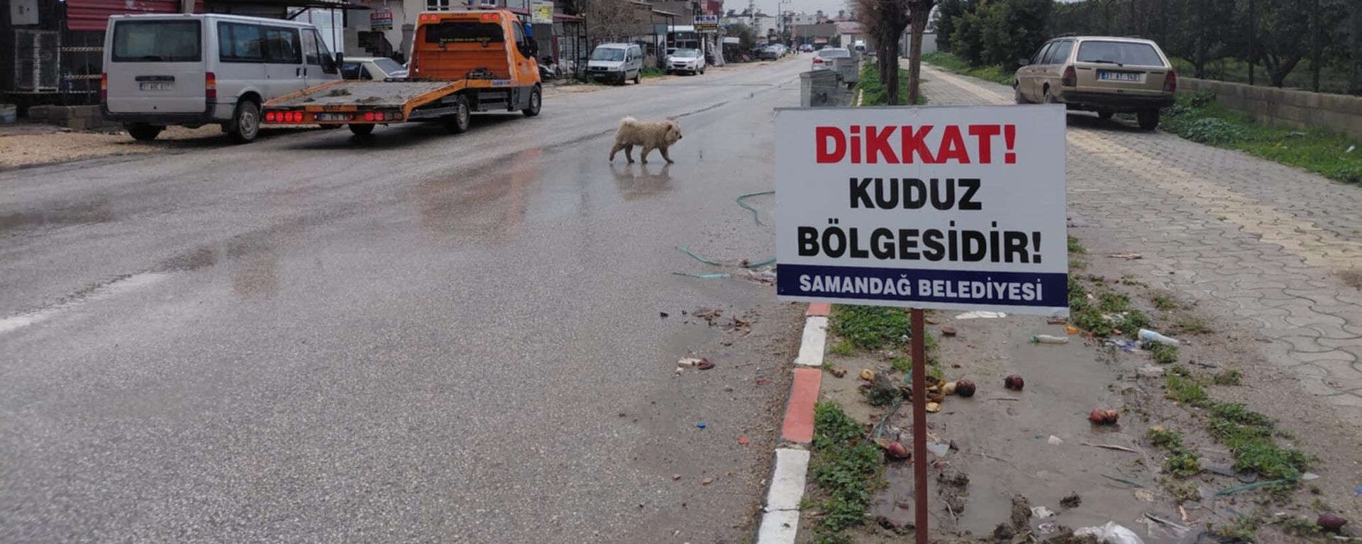 Hatay - Sputnik Türkiye, 1920, 12.02.2026