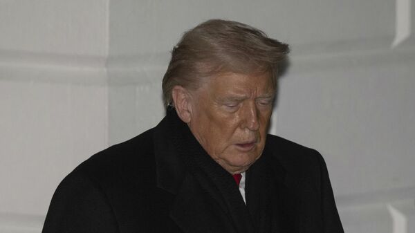 Donald Trump - Sputnik Türkiye