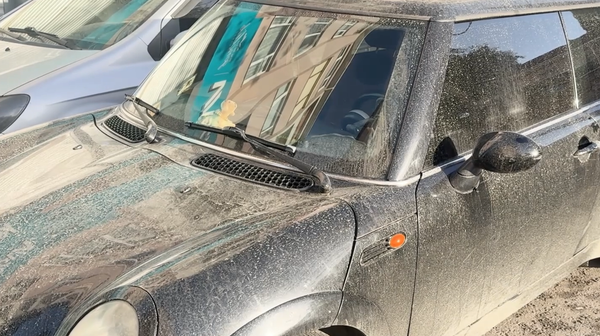 Tekirdağ'da toz taşınımı nedeniyle yağmurla birlikte çamur yağdı - Sputnik Türkiye