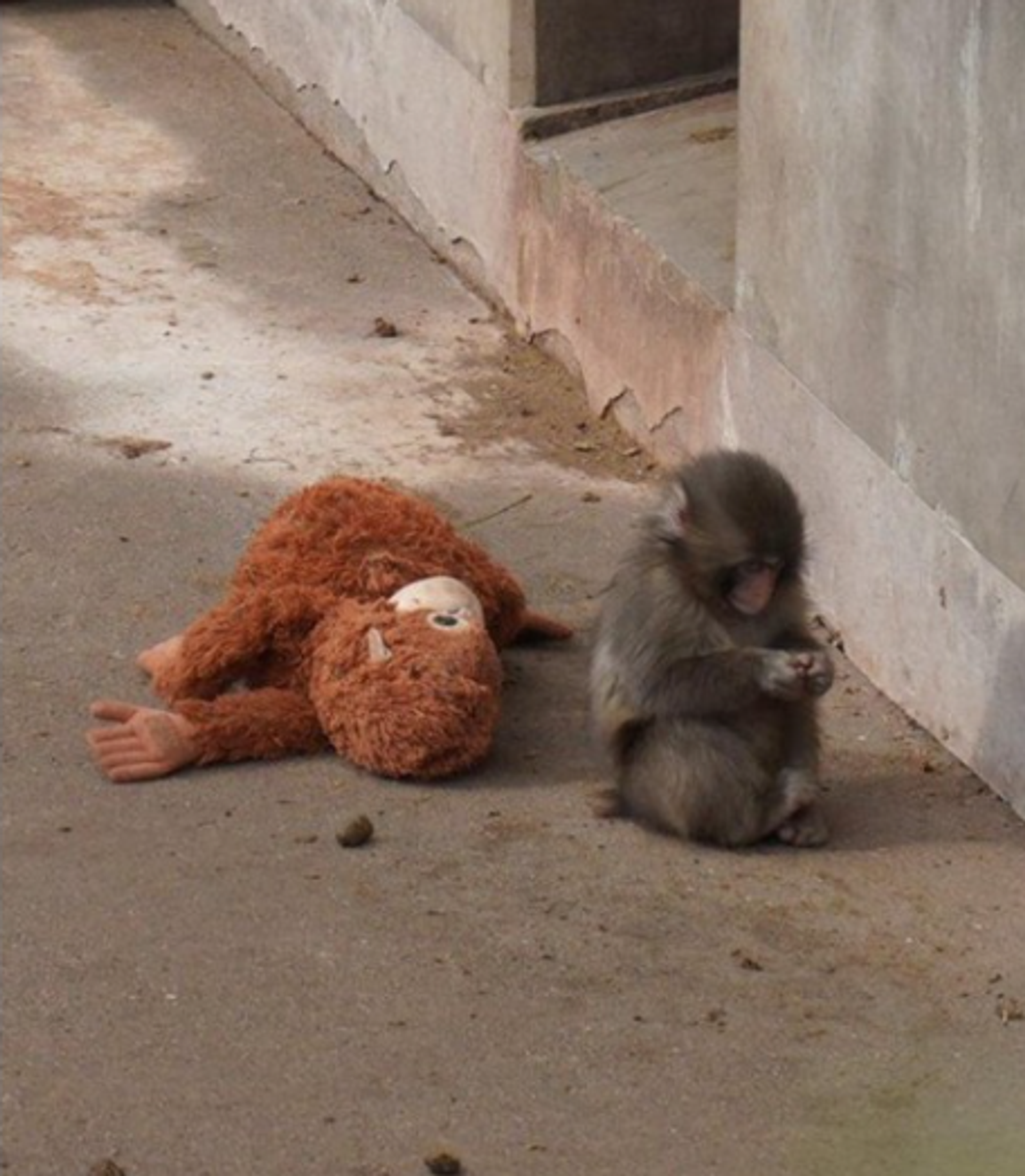 Punch - Sputnik Türkiye, 1920, 16.02.2026