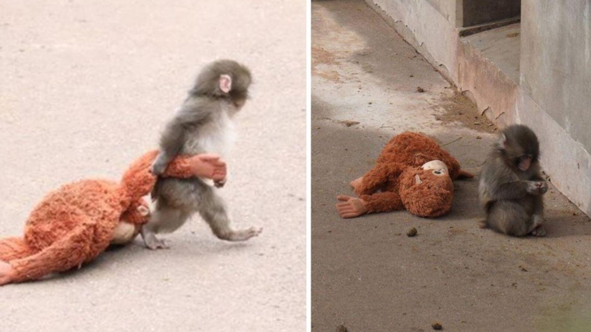 Punch - Sputnik Türkiye, 1920, 16.02.2026