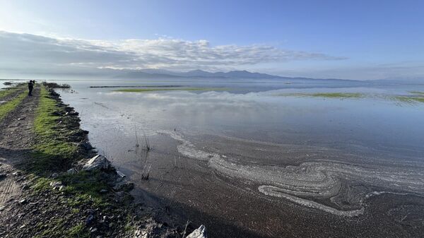 Kahramanmaraş'ın Türkoğlu ilçesinde bir haftadır etkili olan yağmur nedeniyle tarım arazileri su altında kaldı - Sputnik Türkiye