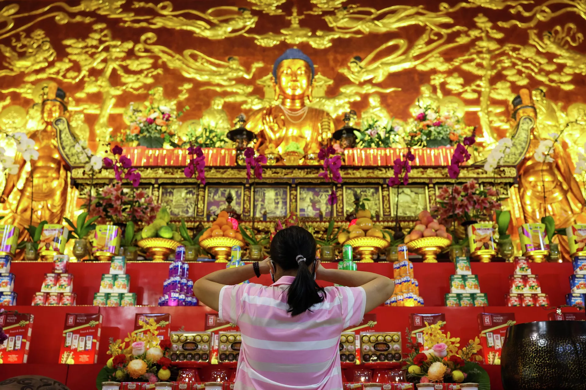 Çin At Yılı - Sputnik Türkiye, 1920, 17.02.2026