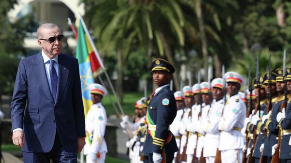 Cumhurbaşkanı Recep Tayyip Erdoğan - Sputnik Türkiye