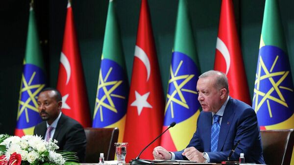 Türkiye Etiyopya - Sputnik Türkiye