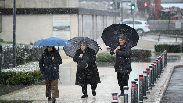 Kar yağışı - Sputnik Türkiye