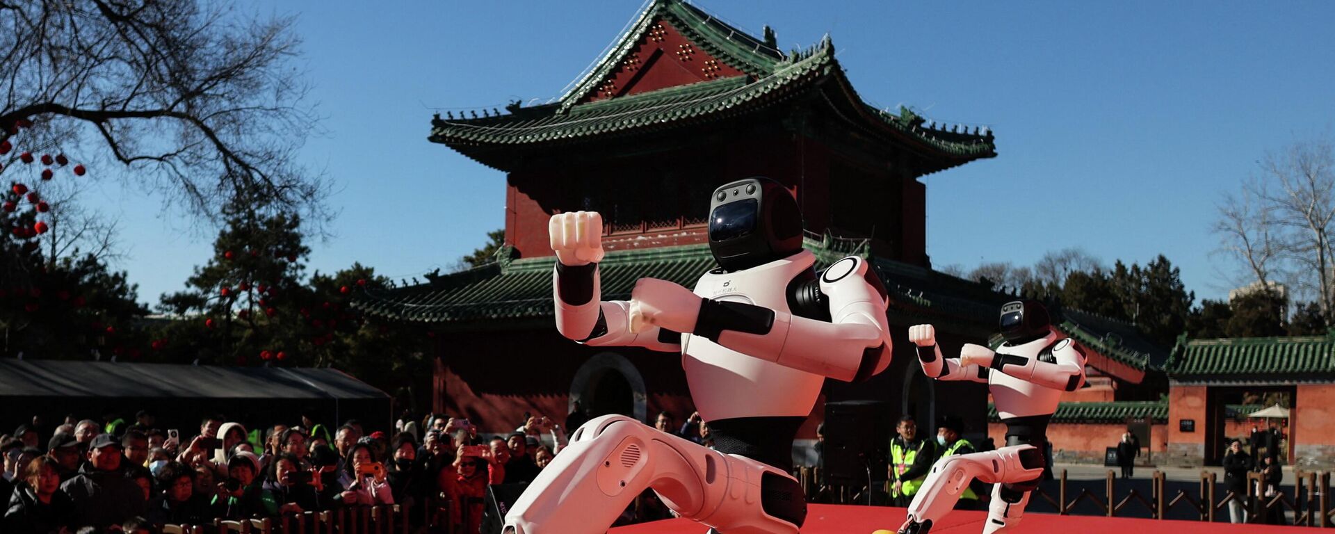 Çin yapımı insansı robotlar - Sputnik Türkiye, 1920, 20.02.2026