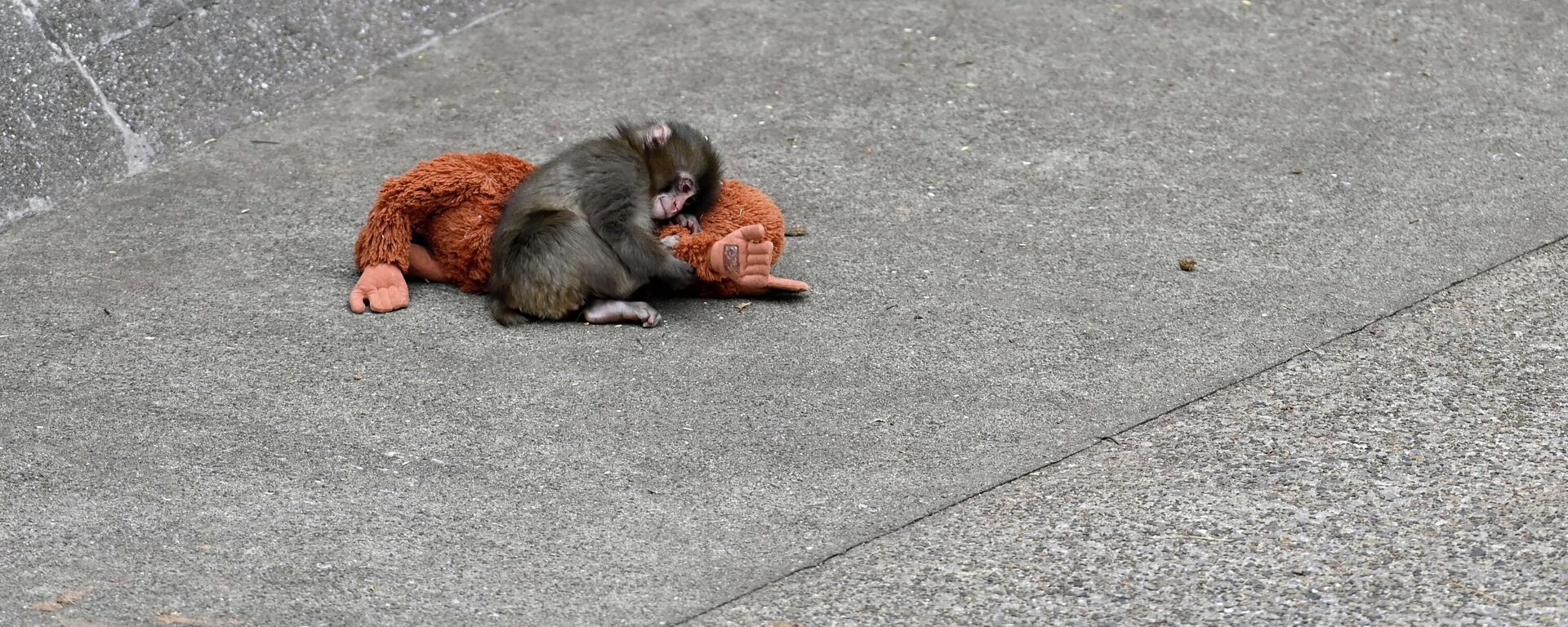 Punch - Sputnik Türkiye, 1920, 27.03.2026