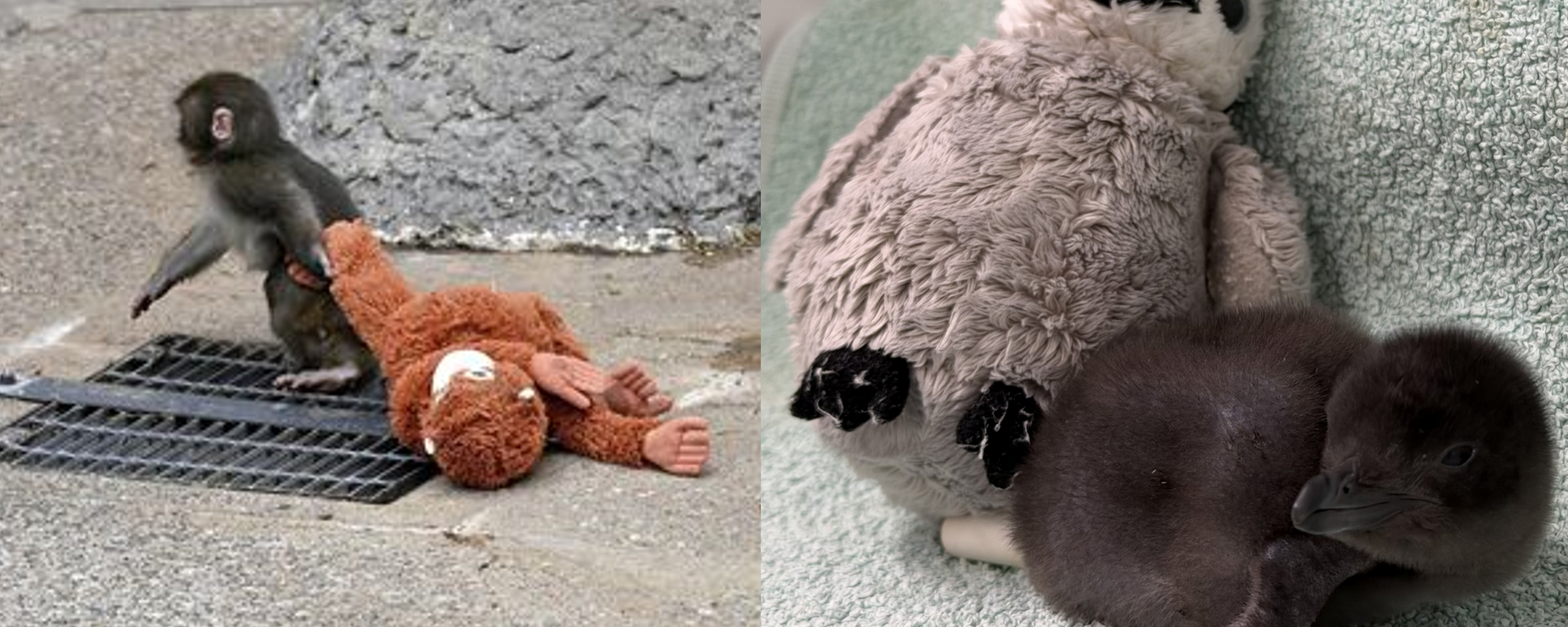 Punch ve Henry - Sputnik Türkiye, 1920, 23.02.2026