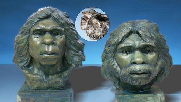 Homo Erectus - Sputnik Türkiye