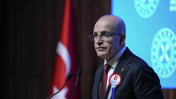 Bakan Şimşek - Sputnik Türkiye