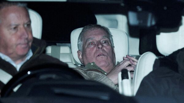 Louvre Müzesi'ne Andrew Mountbatten-Windsor’un  gözaltı sonrası çekilen fotoğrafı asıldı - Sputnik Türkiye