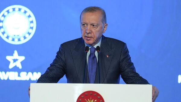 Erdoğan - Sputnik Türkiye