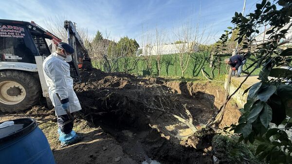Manisa’da 17 yıldır kayıp olan genç kadının öldürüldüğü ortaya çıktı - Sputnik Türkiye