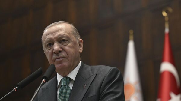 Erdoğan - Sputnik Türkiye