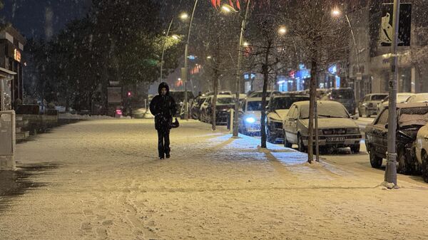 Kar - Sputnik Türkiye