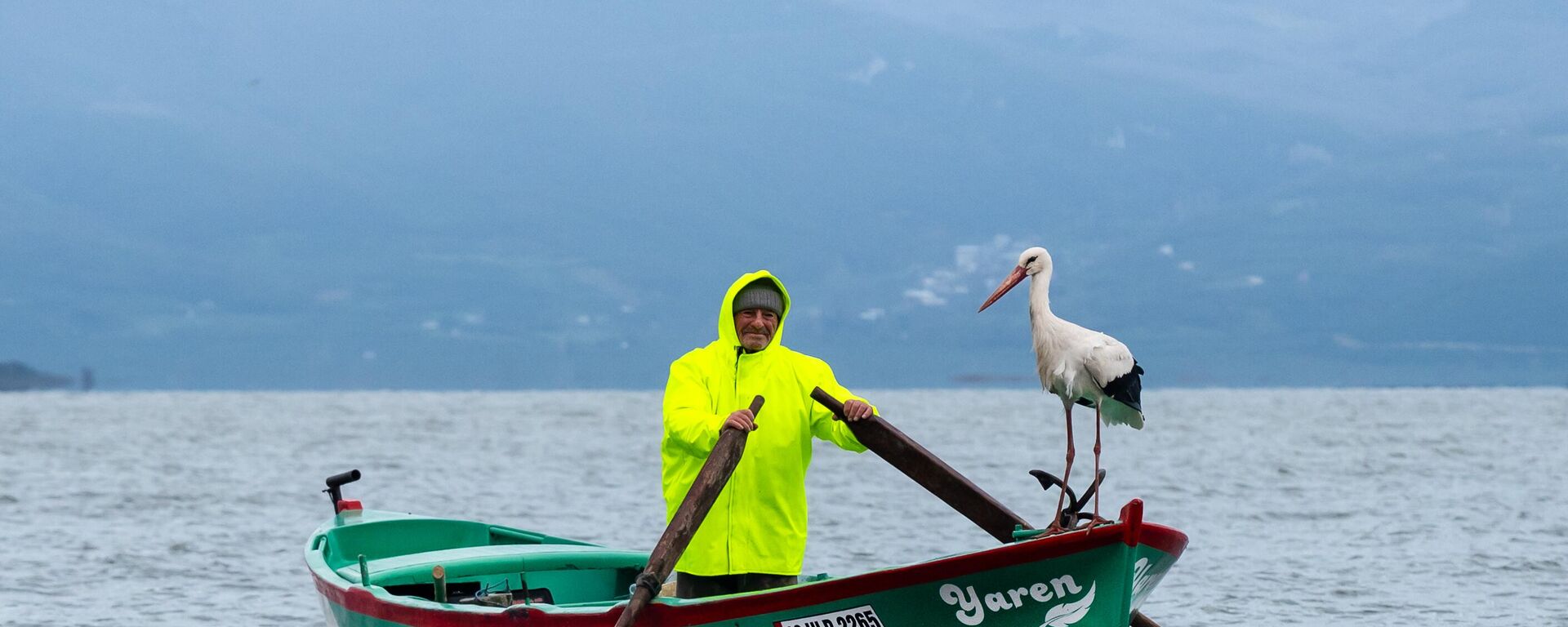 Yaren Leylek 15. yılda da göçüp geldi - Sputnik Türkiye, 1920, 27.02.2026