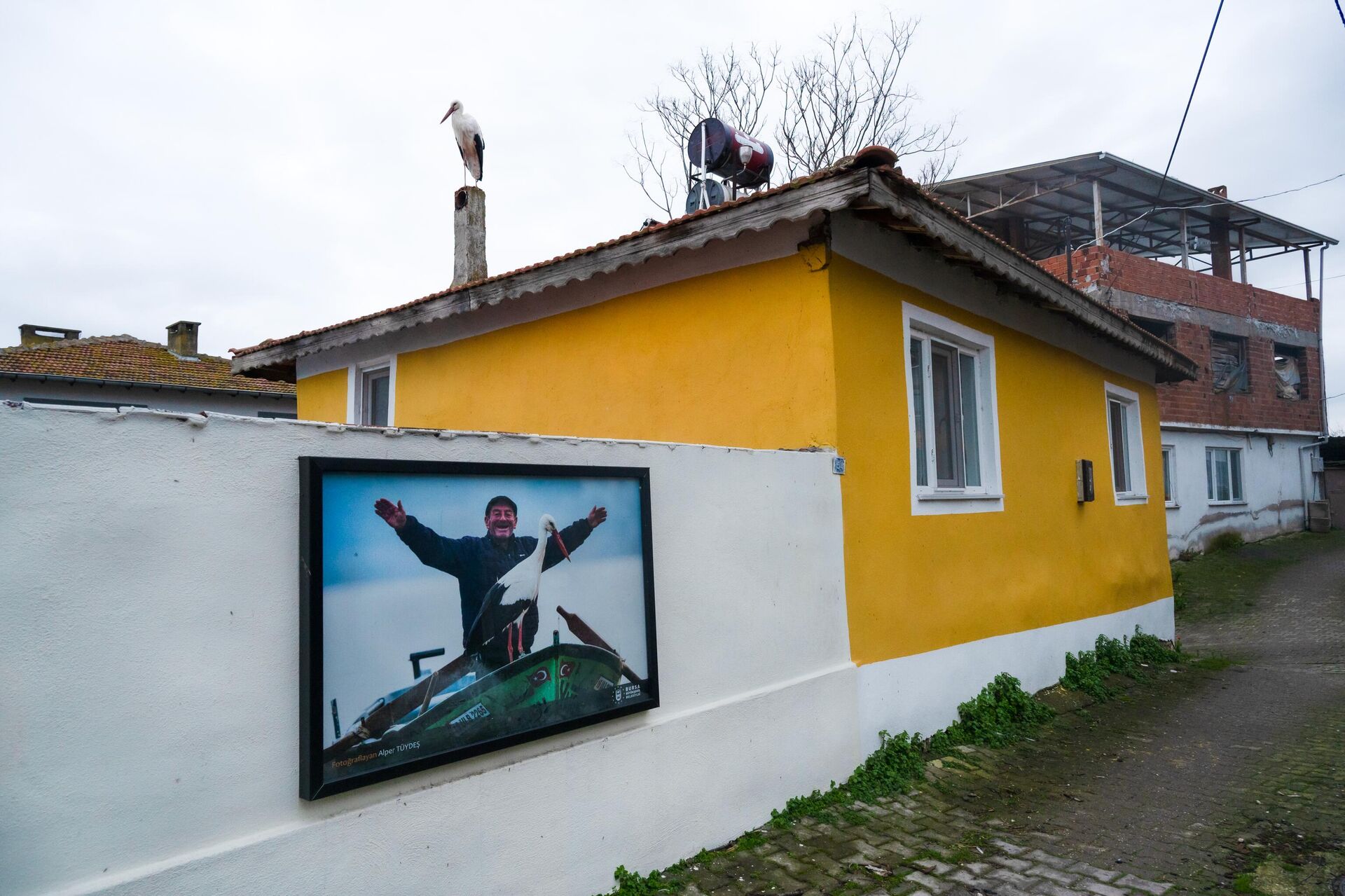 Yaren Leylek bu yıl da geldi - Sputnik Türkiye, 1920, 27.02.2026