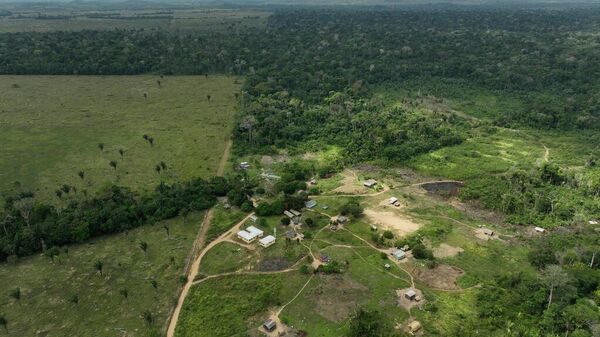 Brazilya, Rondonia - Sputnik Türkiye