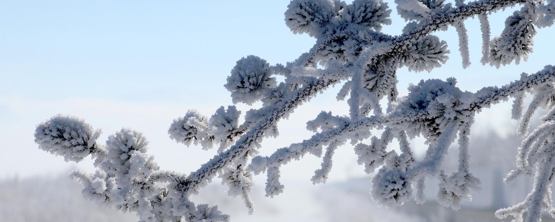 Türkiye'de karlı bir kış - Sputnik Türkiye, 1920, 29.03.2026