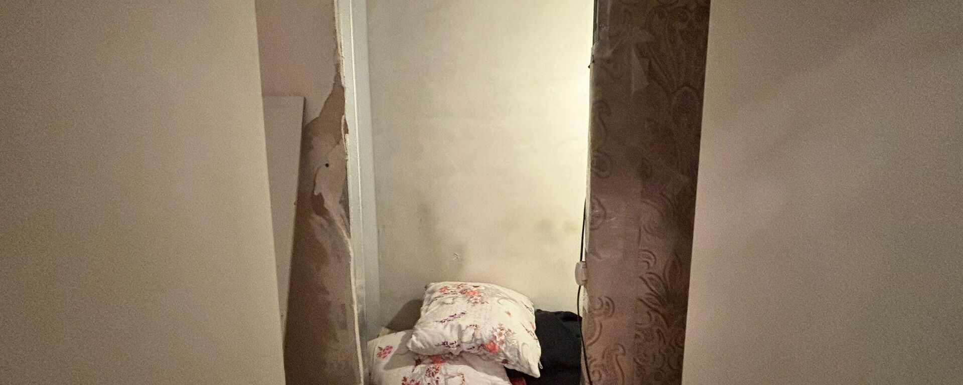 Eski Ankara Cumhuriyet Başsavcıvekili Şadan Sakınan - Sputnik Türkiye, 1920, 05.03.2026