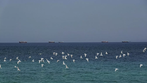 Hürmüz Boğazı - Sputnik Türkiye