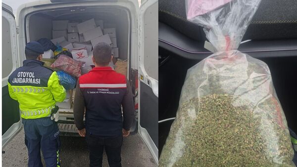 Ergene - Sputnik Türkiye