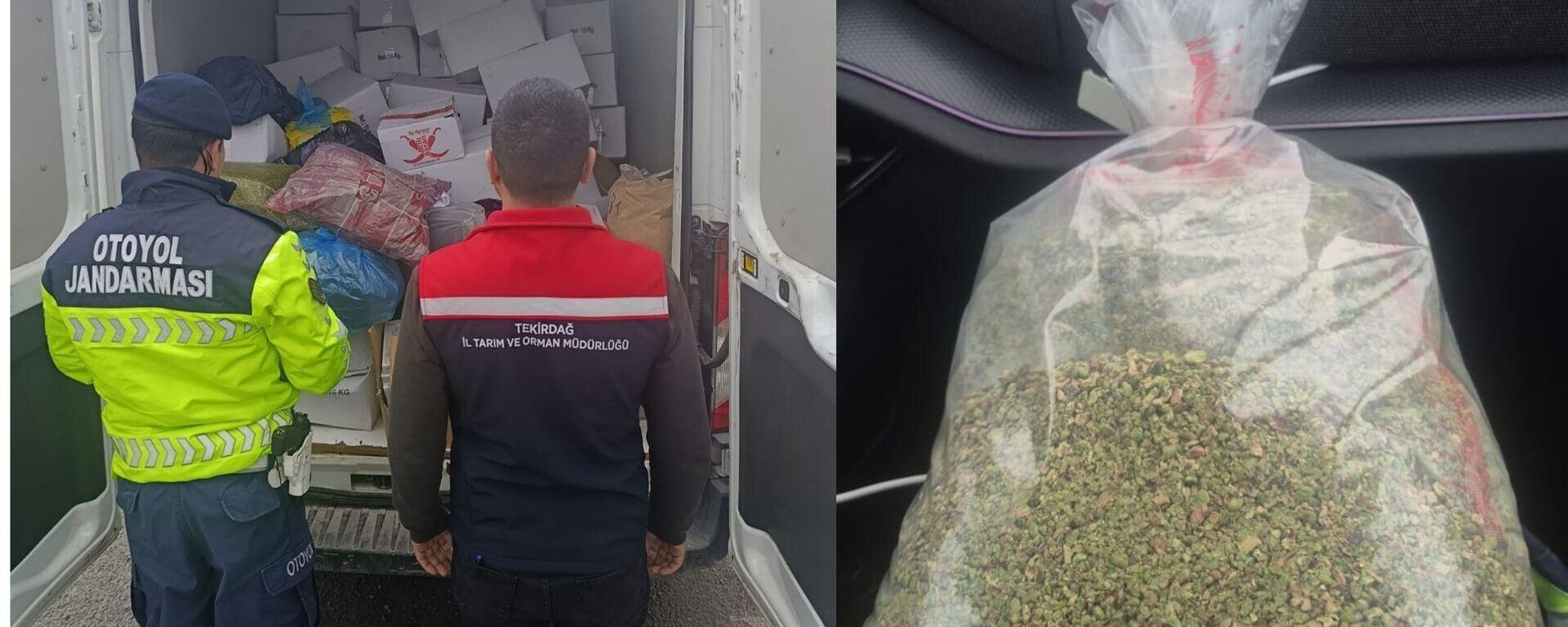 Ergene - Sputnik Türkiye, 1920, 11.03.2026