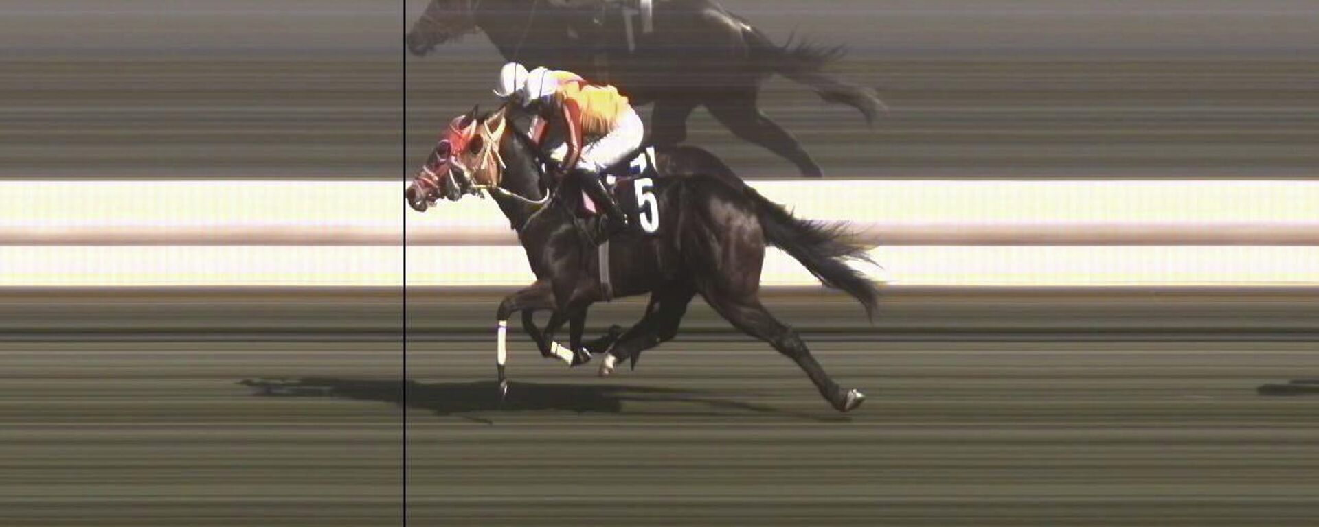 Yarış atı - Sputnik Türkiye, 1920, 13.03.2026