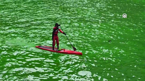 Chicago Nehri - Sputnik Türkiye