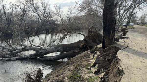 Edirne'de Tunca Nehri kıyısında toprak kayması meydana geldi - Sputnik Türkiye