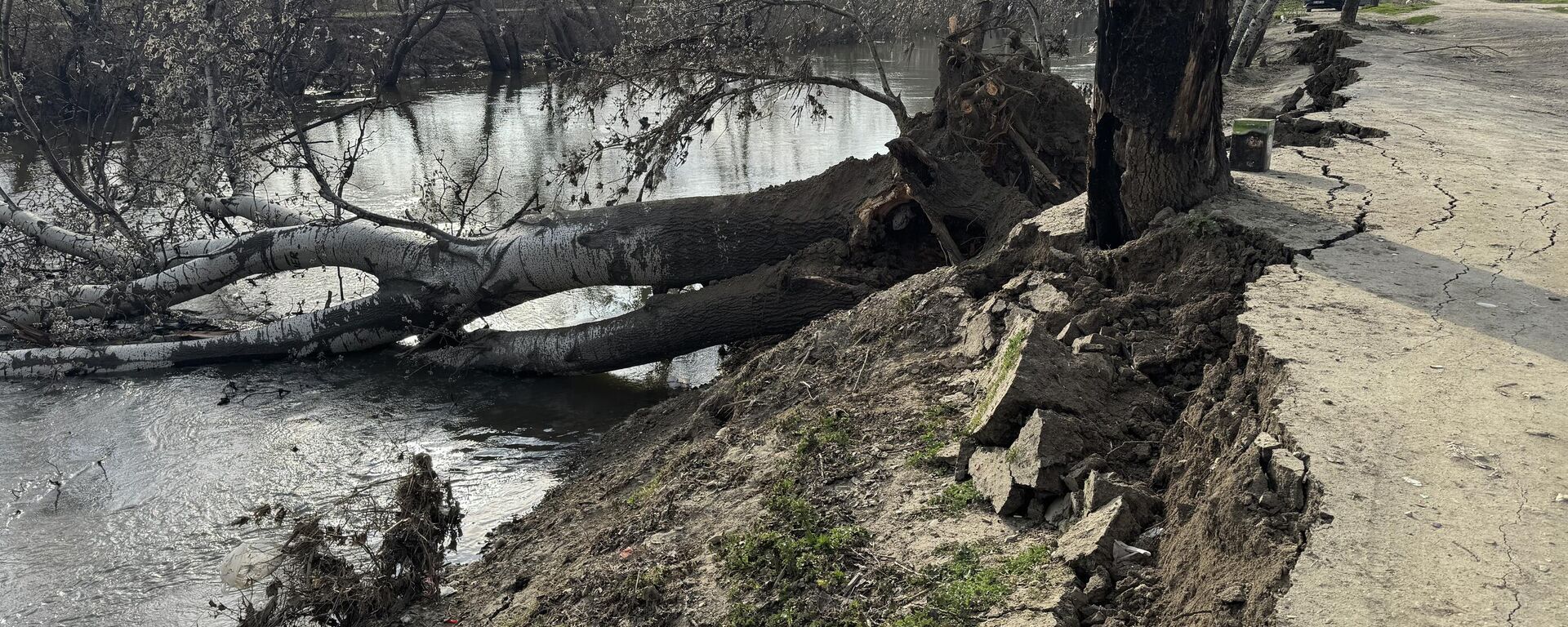 Edirne'de Tunca Nehri kıyısında toprak kayması meydana geldi - Sputnik Türkiye, 1920, 15.03.2026