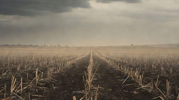 Gıda krizi, tarım - Sputnik Türkiye