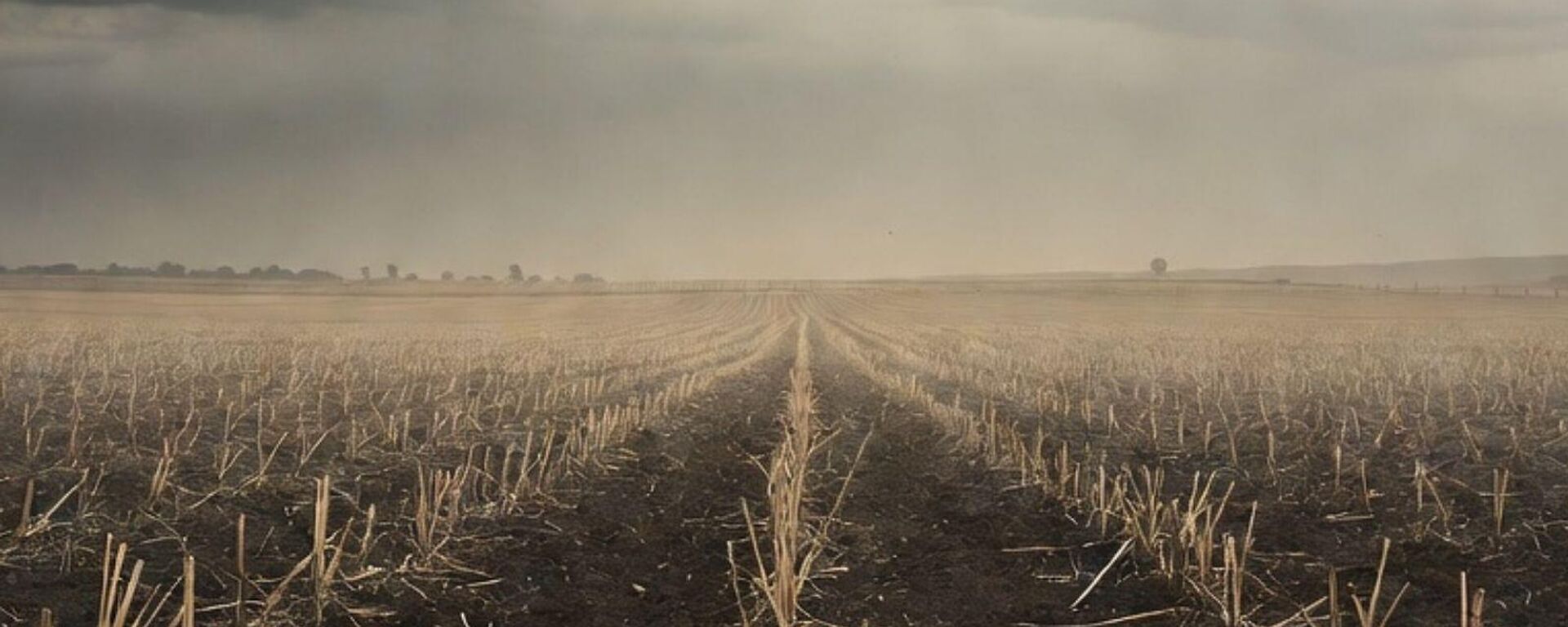 Gıda krizi, tarım - Sputnik Türkiye, 1920, 18.03.2026