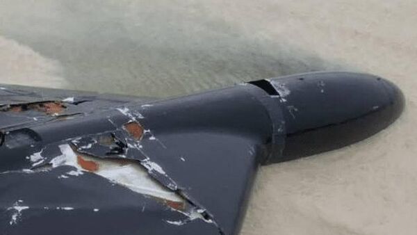 İran'ın düşürdüğünü iddia ettiği ABD Lucas İHA'sına ait olduğu belirtilen görüntü - Sputnik Türkiye