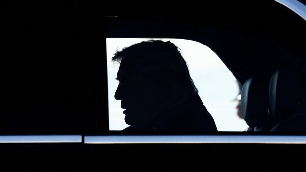 Donald Trump - Sputnik Türkiye