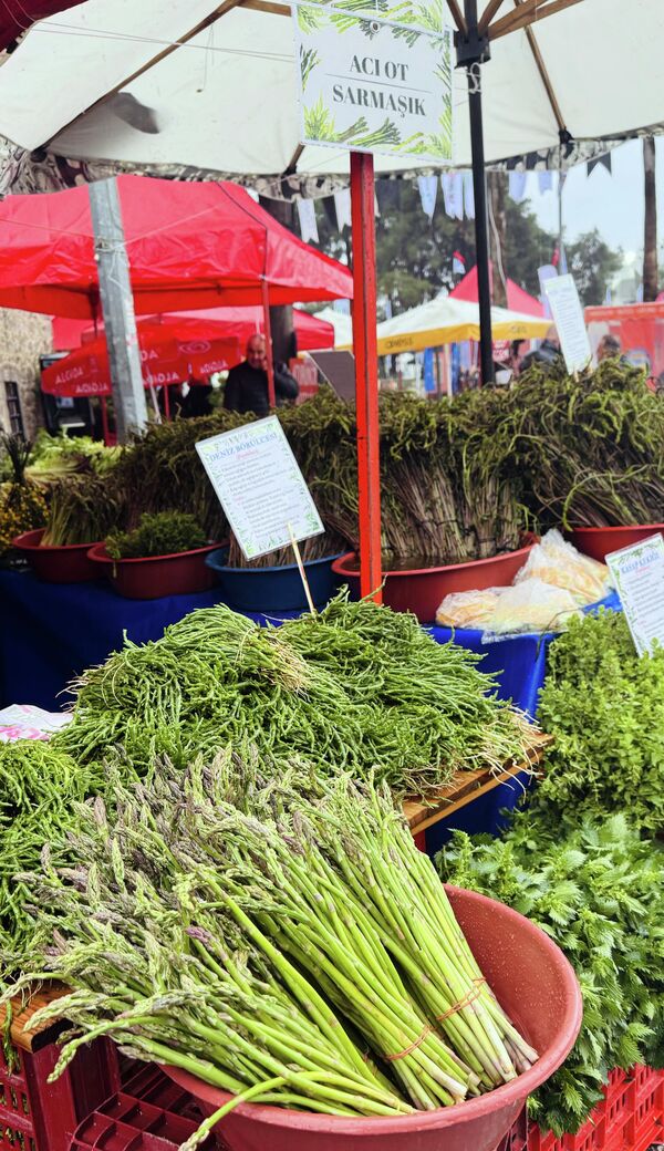 Muğla Valiliği, Büyükşehir Belediyesi, Bodrum Kaymakamlığı, Bodrum Belediyesi ve Bodrum Ticaret Odası’nın destekleriyle Ortakent Yahşi Yalılarını Güzelleştirme ve Mavi Bayrak Derneği (OYDER) tarafından organize edilen festival, Ortakent Köyiçi’nde kapılarını açtı. - Sputnik Türkiye