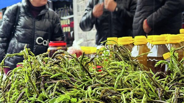 Bodrum Acı Ot Festivali başladı - Sputnik Türkiye