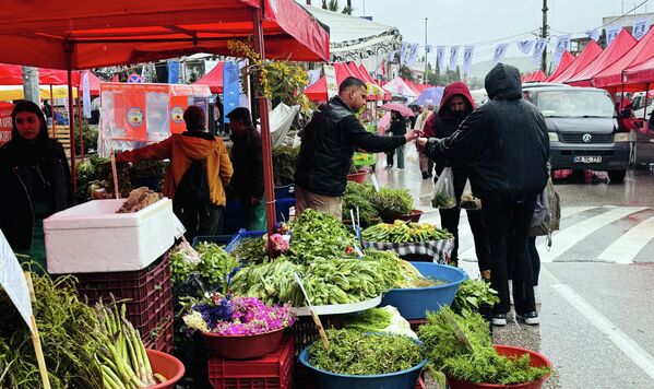 Bodrum Acı Ot Festivali başladı - Sputnik Türkiye