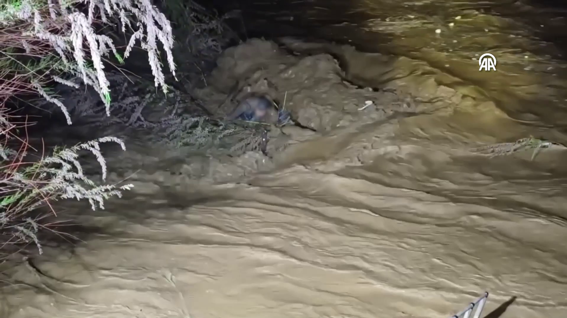 Aydın'ın Nazilli ilçesinde, Mergen Çayı'nın taşması sonucu suda mahsur kalan sürücü, yaklaşık 4 saat süren çalışmayla kurtarıldı - Sputnik Türkiye, 1920, 29.03.2026