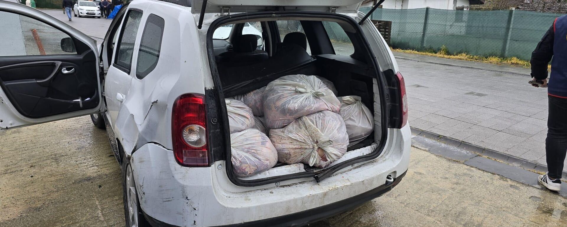 İstanbul'un Çatalca ilçesinde 306 kilogram at eti ele geçirildi - Sputnik Türkiye, 1920, 31.03.2026