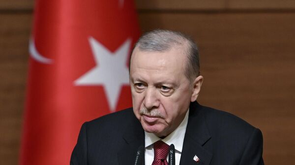 Cumhurbaşkanı Erdoğan - Sputnik Türkiye
