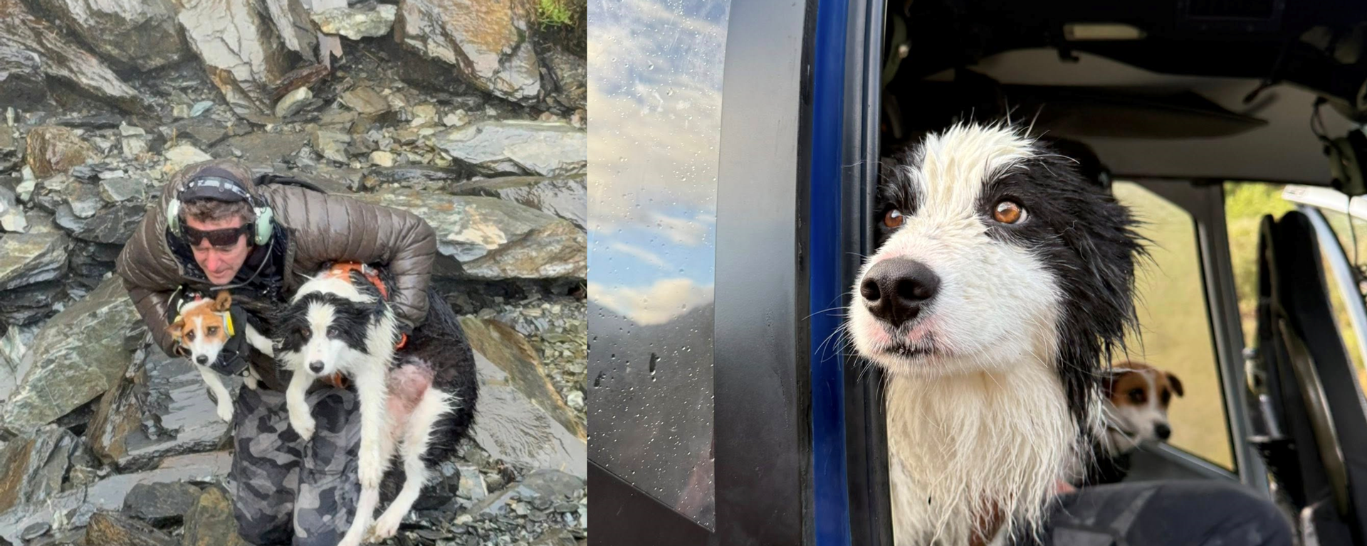 Yeni Zelanda’da mucize kurtuluş: Molly, yaralı sahibini beklediği bölgede bulundu - Sputnik Türkiye, 1920, 01.04.2026