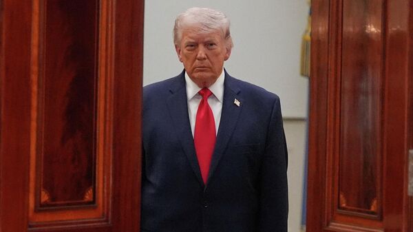 ABD Başkanı Donald Trump - Sputnik Türkiye