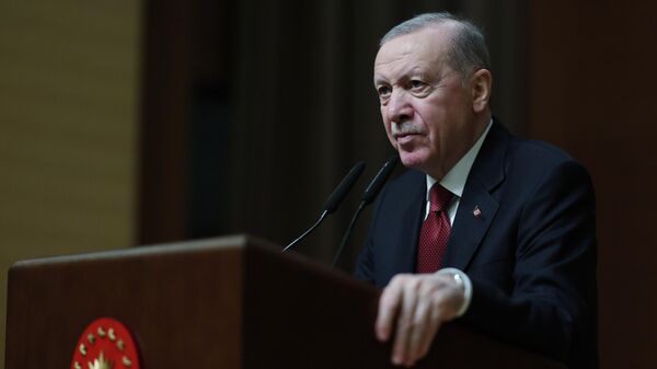 Erdoğan - Sputnik Türkiye