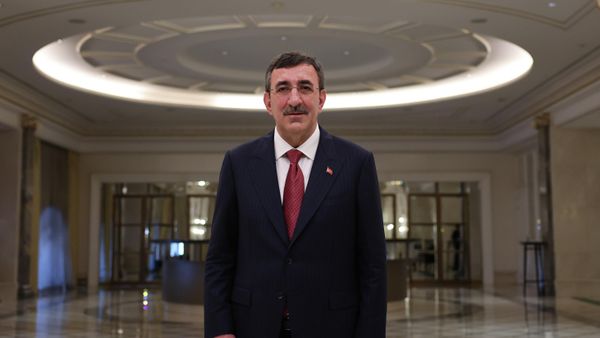 Cumhurbaşkanı Yardımcısı Cevdet Yılmaz - Sputnik Türkiye