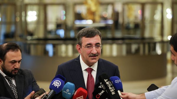 Cumhurbaşkanı Yardımcısı Cevdet Yılmaz - Sputnik Türkiye